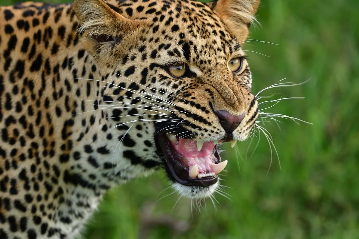 Wo liegt die Masai Mara eigentlich genau?