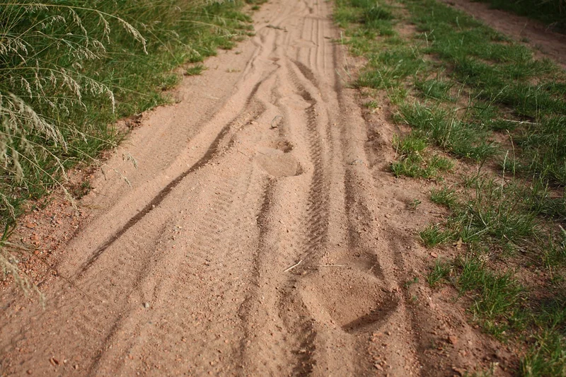 Der Weg zum Wohlstand: Was ich gelernt habe