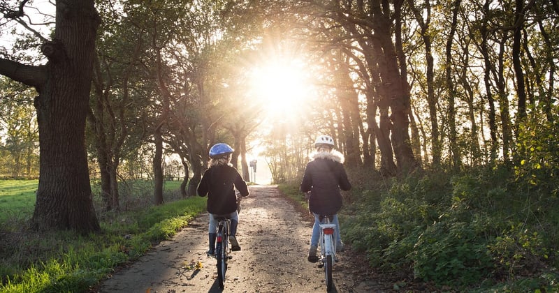 Fahrradverleih Friedrichshafen: Die besten Tipps für deine Tour