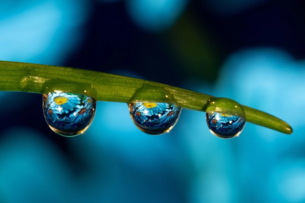 Ein neuer Blick auf den Bauch