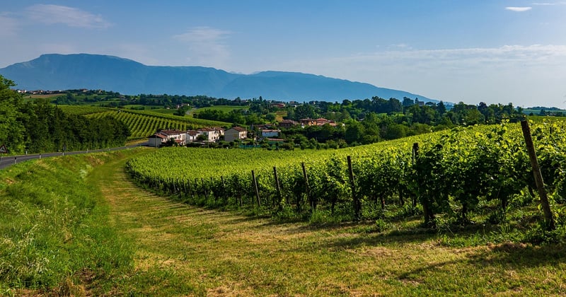 Sekt oder Prosecco? Der große Unterschied einfach erklärt